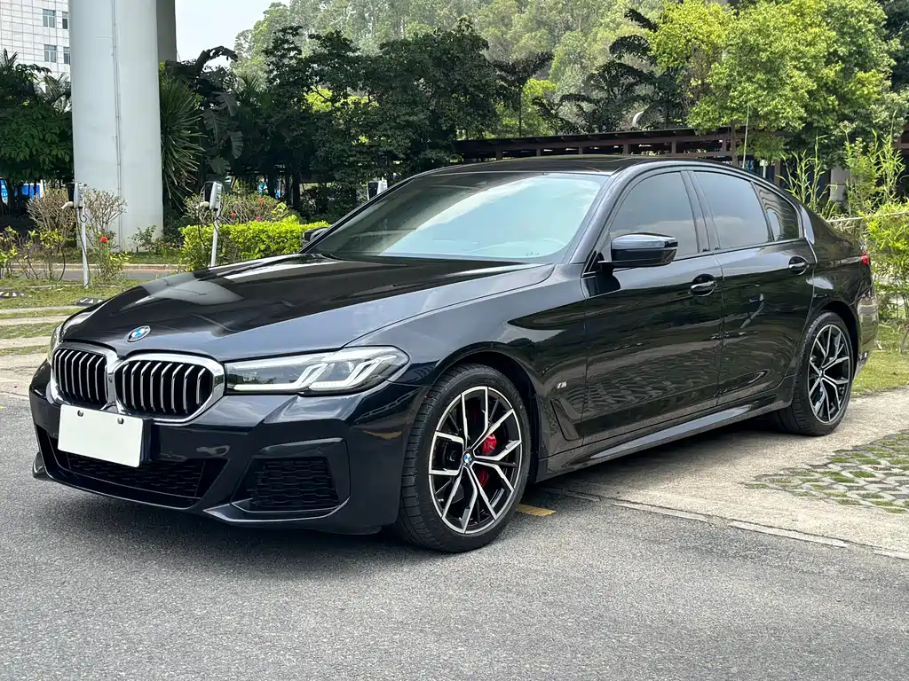 BMW 5 Series (Import) 2021