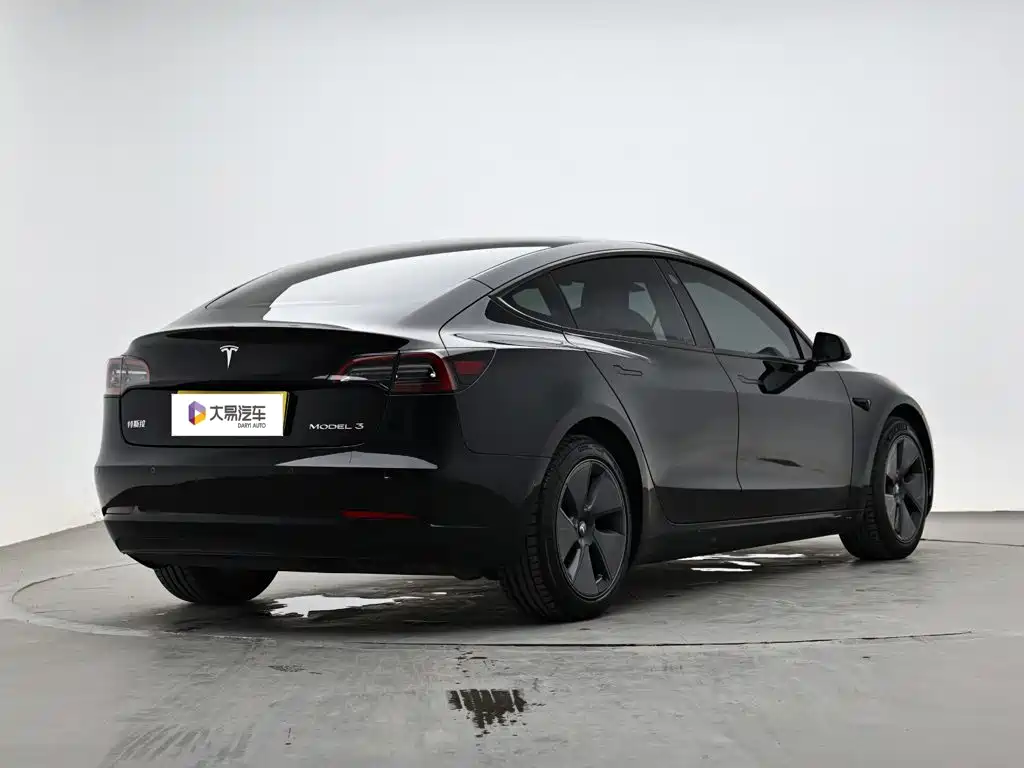Tesla Model 3 — миниатюра 3