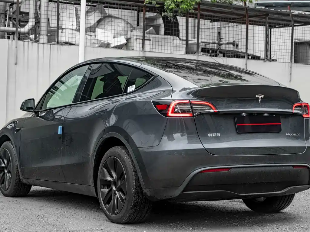 Tesla Model Y — миниатюра 6