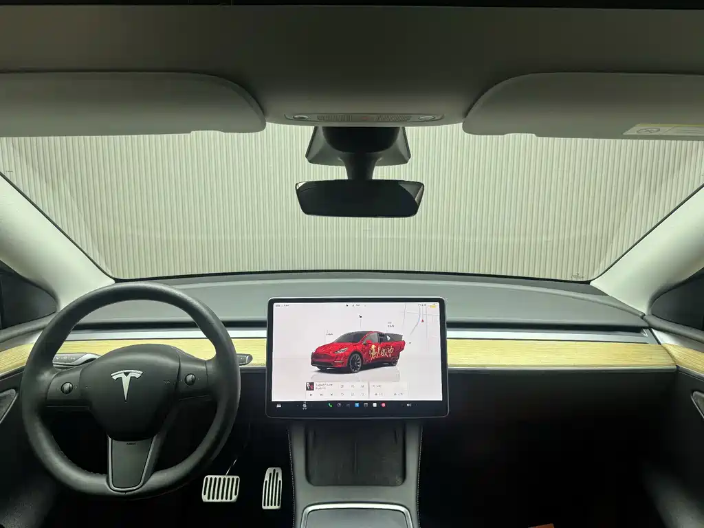 Tesla Model Y — миниатюра 19