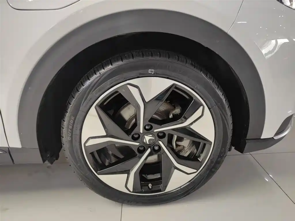 ARCFOX EXTREME FOX POLAR FOX ALPHA T