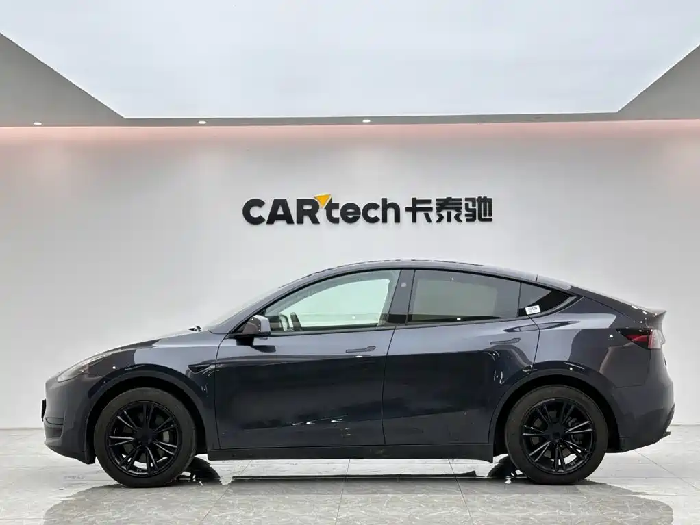 Tesla Model Y — миниатюра 2