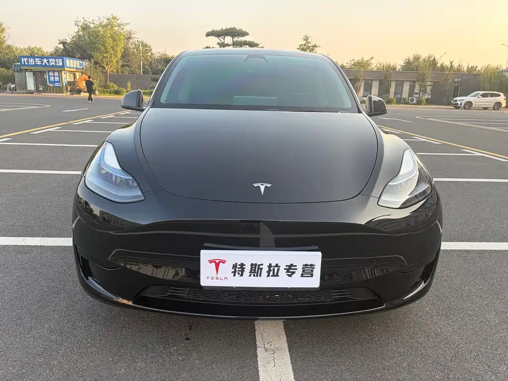 Tesla Model Y — миниатюра 2