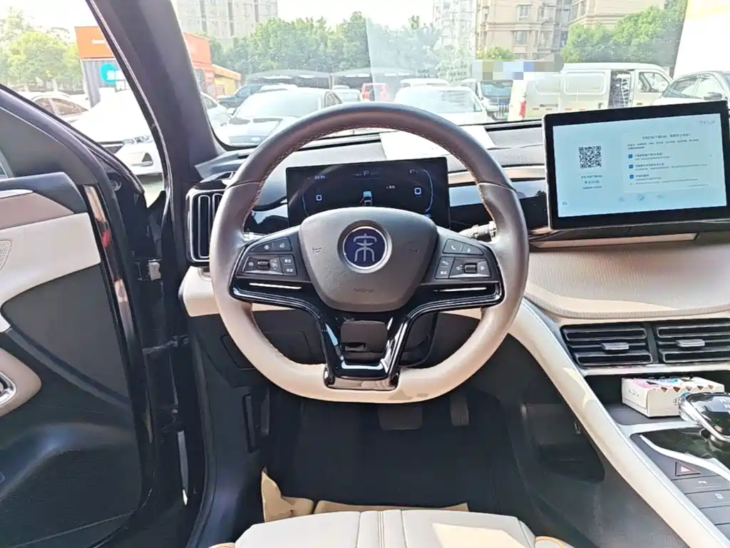 BYD Pro New Energy — миниатюра 11