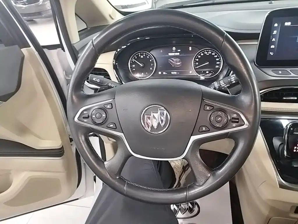 Buick GL8 — миниатюра 11