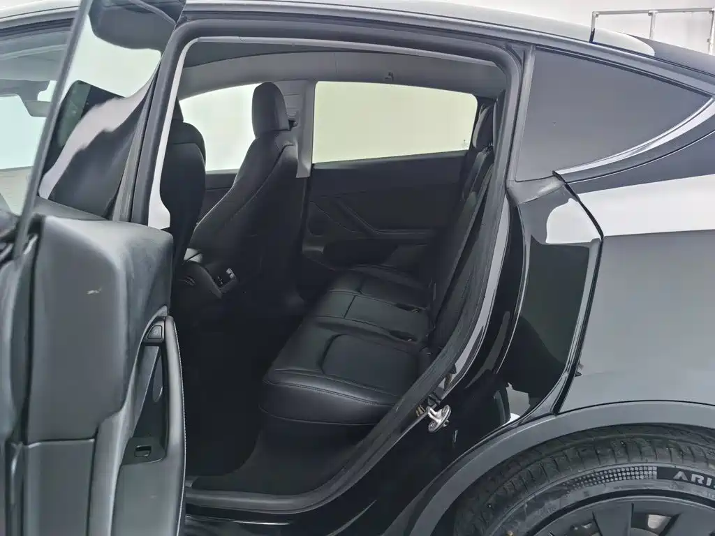 Tesla Model Y — миниатюра 15
