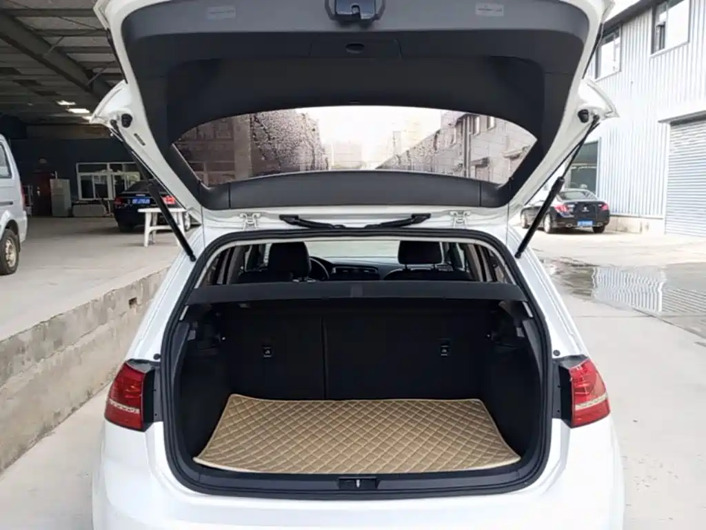 Volkswagen Golf — миниатюра 19