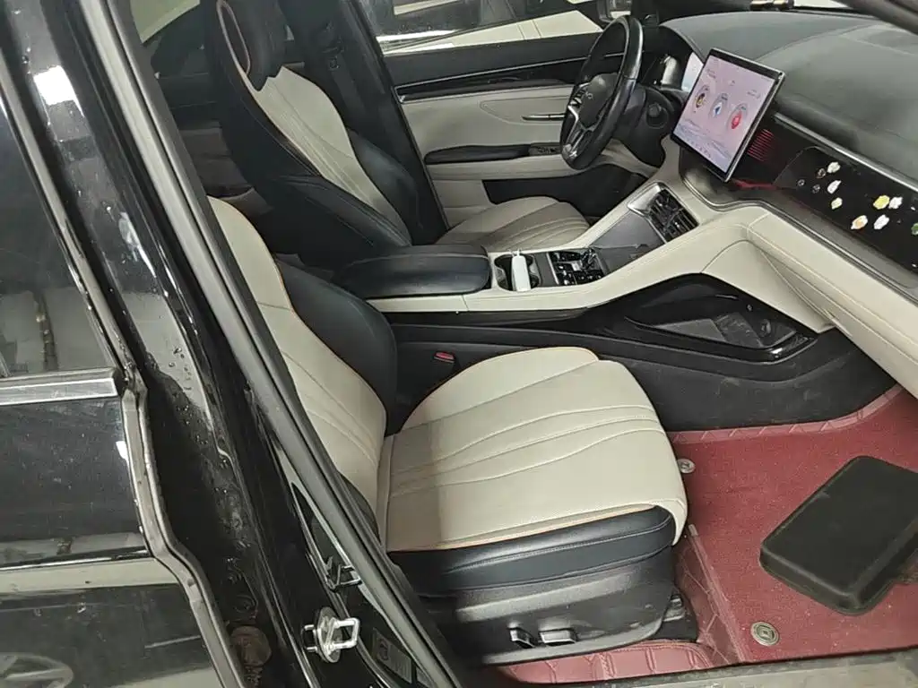 BYD PLUS New Energy — миниатюра 25
