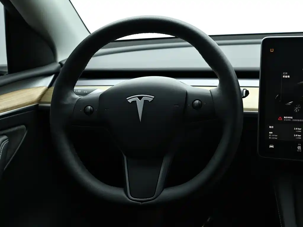 Tesla Model Y — миниатюра 16