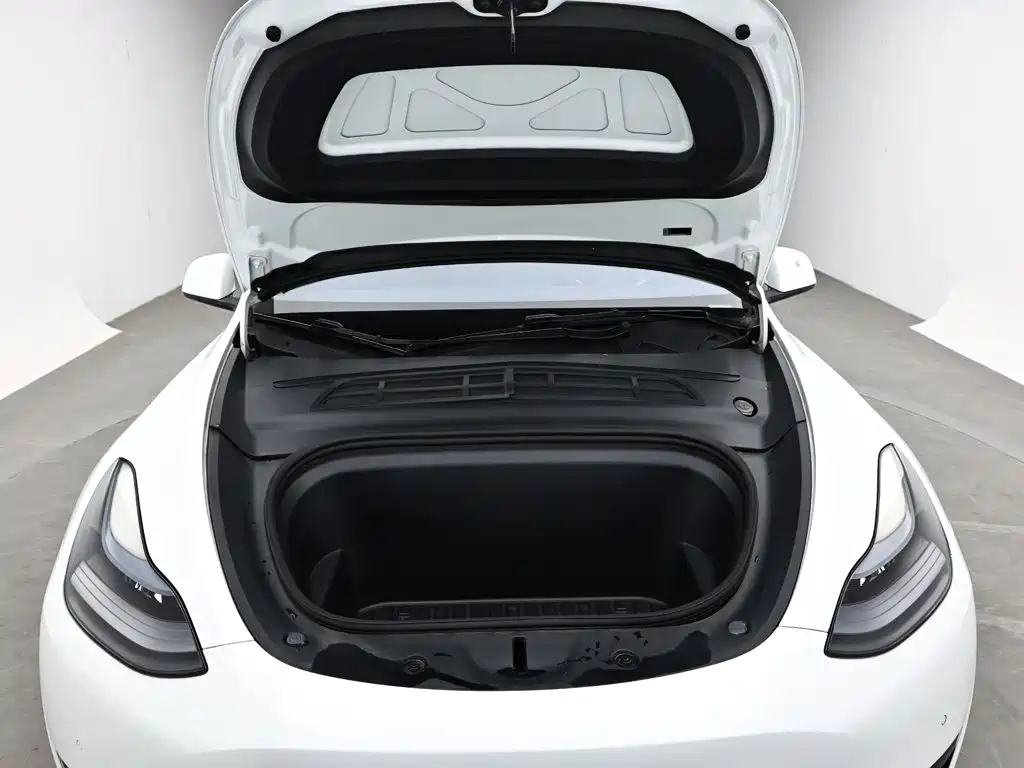 Tesla Model Y — миниатюра 17