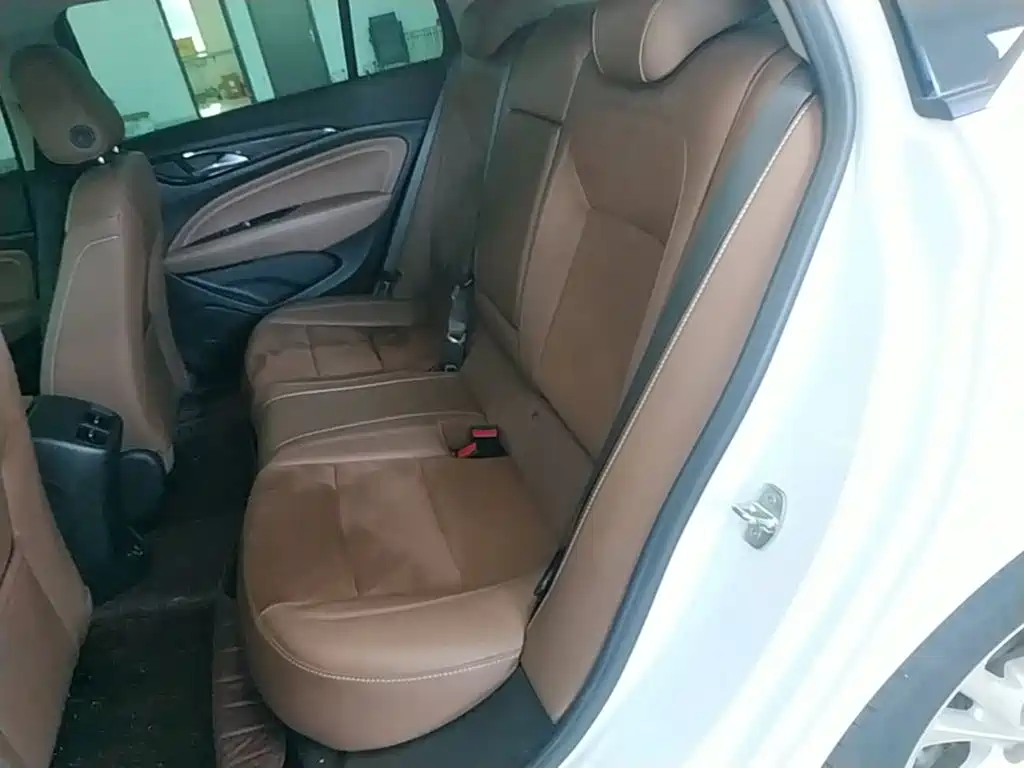 Buick Regal — миниатюра 17
