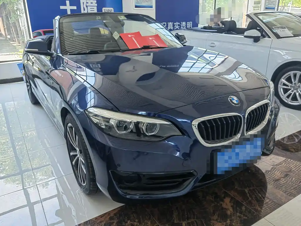 BMW 2 Series (Import) 2018