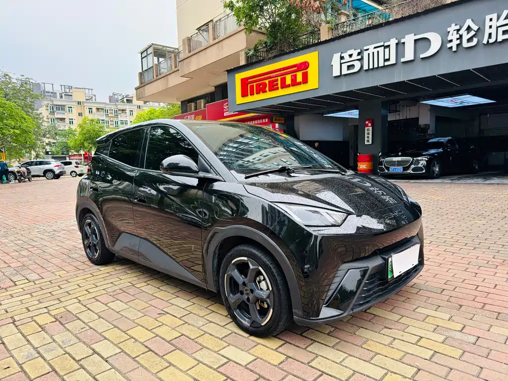 Byd Seagull 2024