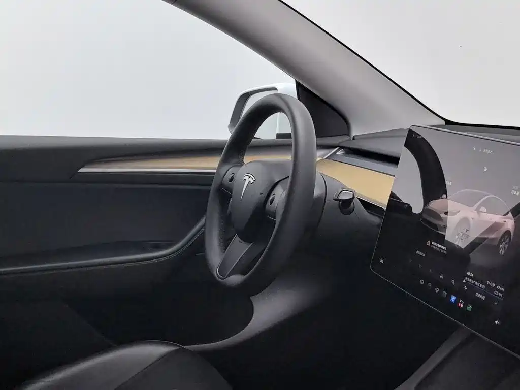 Tesla Model Y — миниатюра 22
