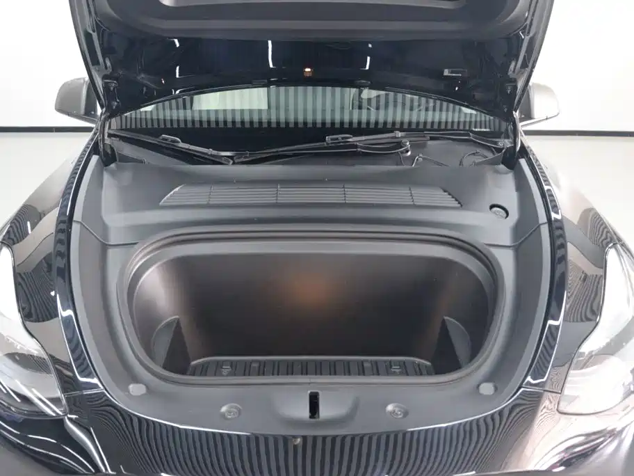 Tesla Model Y — миниатюра 5