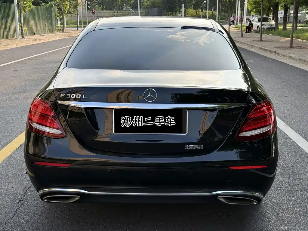 Mercedes-Benz E-Class E 300 L Luxury Type, фото 8