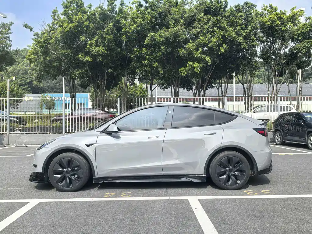 Tesla Model Y — миниатюра 4