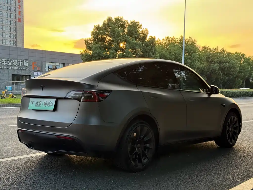Tesla Model Y — миниатюра 5