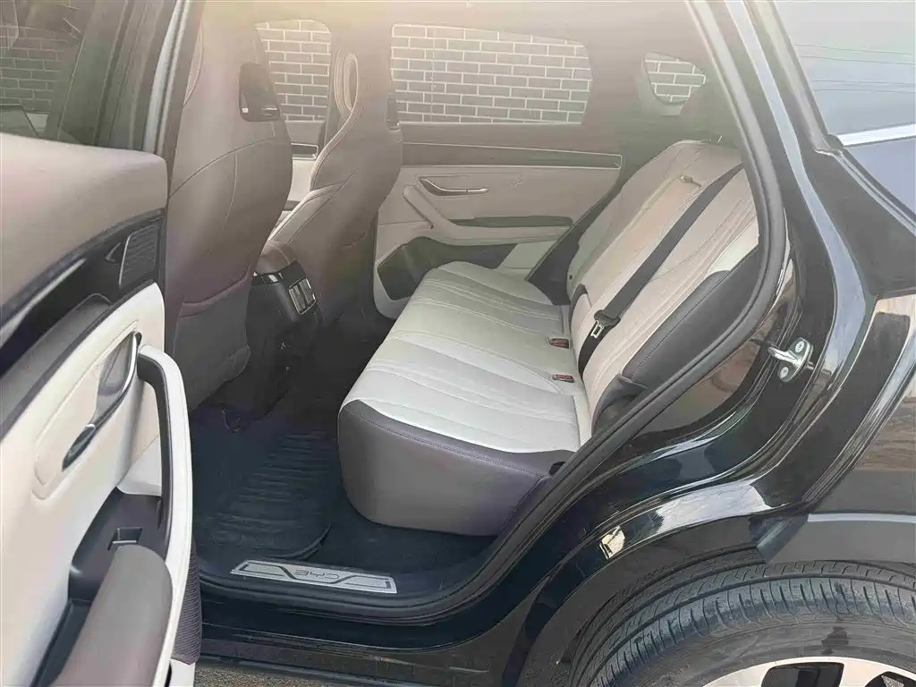 BYD SONGJIANG NEW ENERGY