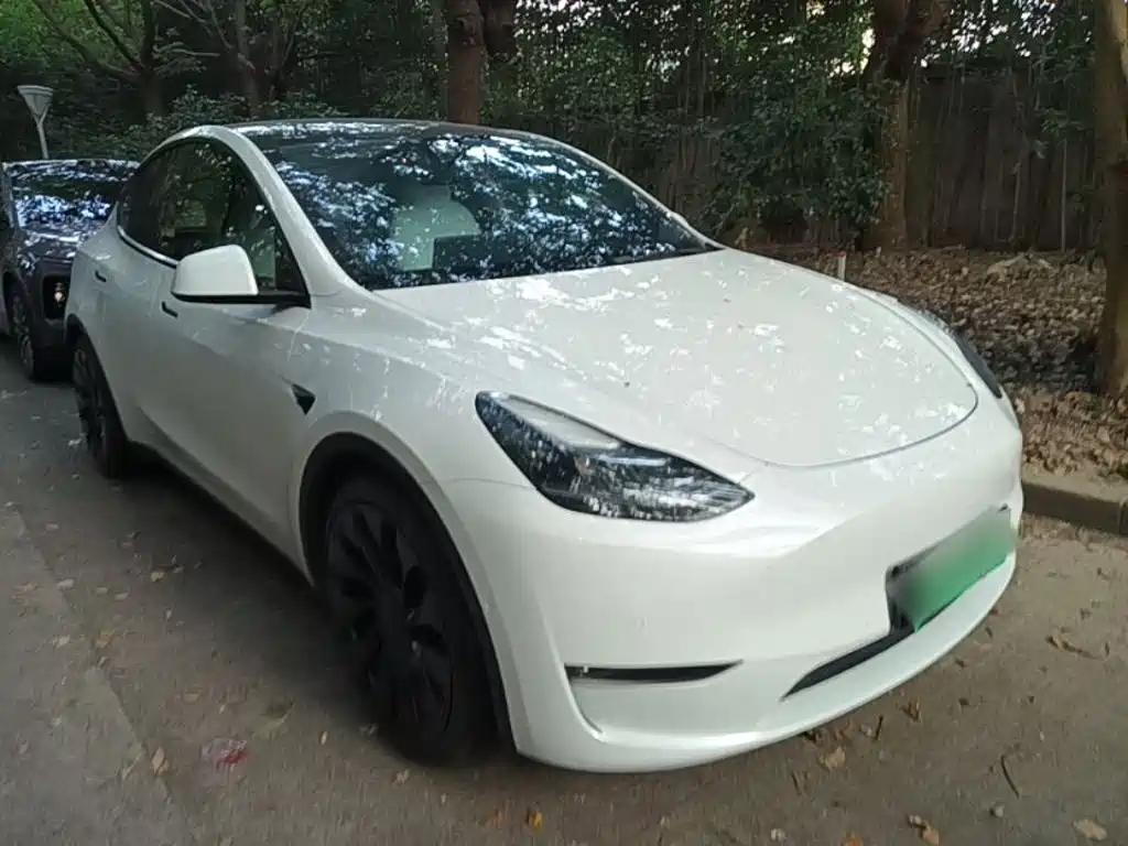 Tesla Model Y — миниатюра 4