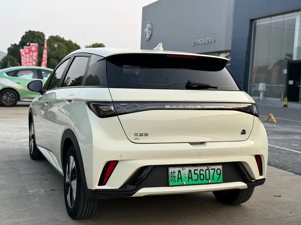 BYD Dolphin 2023 420km Freedom
