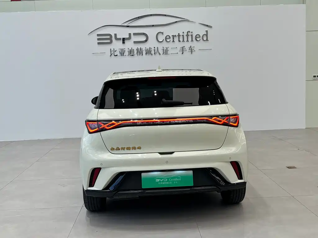BYD Dolphin — миниатюра 16