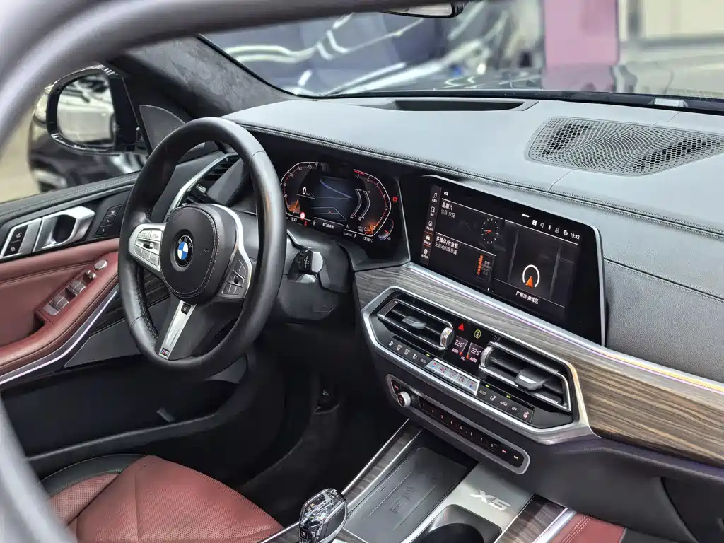 BMW X5 — миниатюра 24