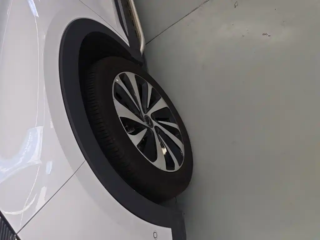 BYD PLUS New Energy — миниатюра 23