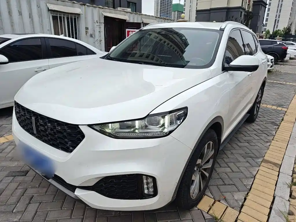 Wey Wey VV6 — миниатюра 2