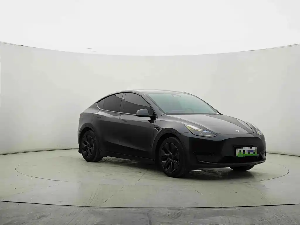 Tesla Model Y — миниатюра 3