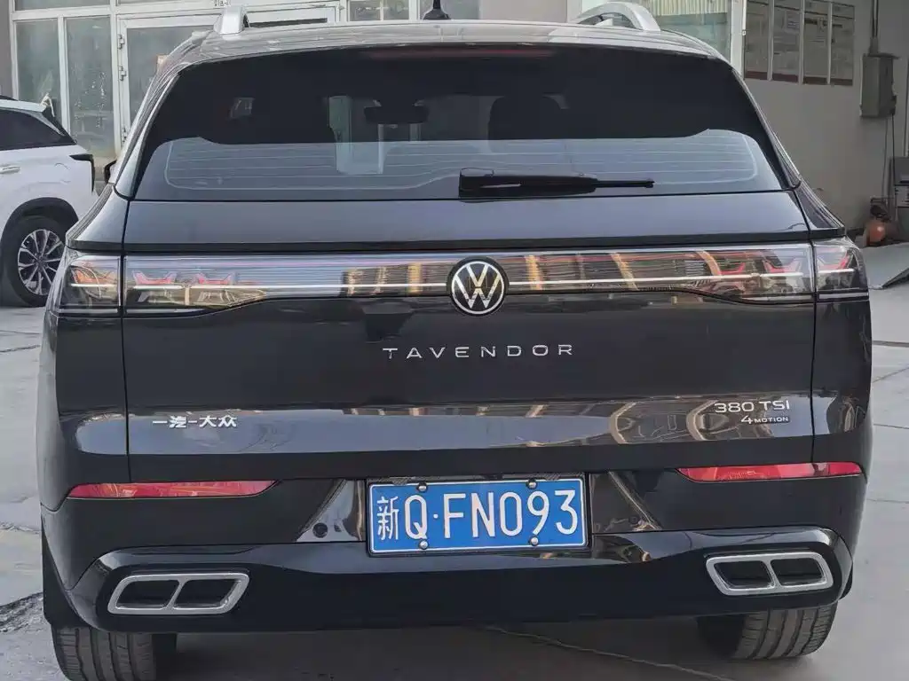 Volkswagen Tavendor — миниатюра 4