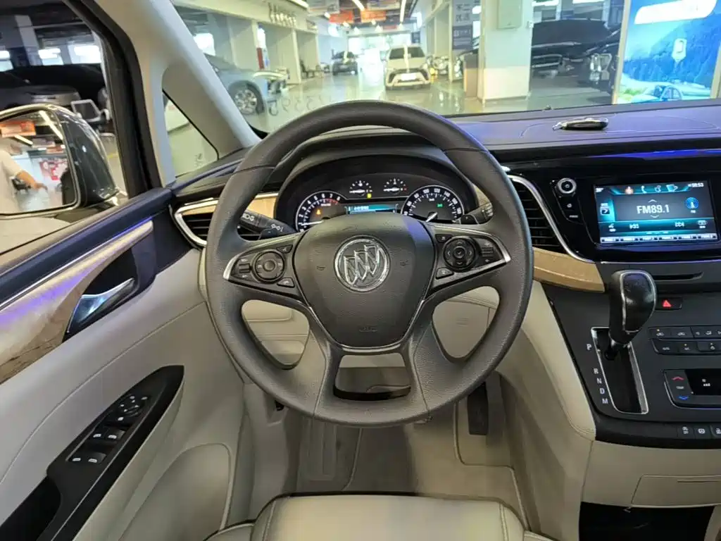 Buick GL8 — миниатюра 11