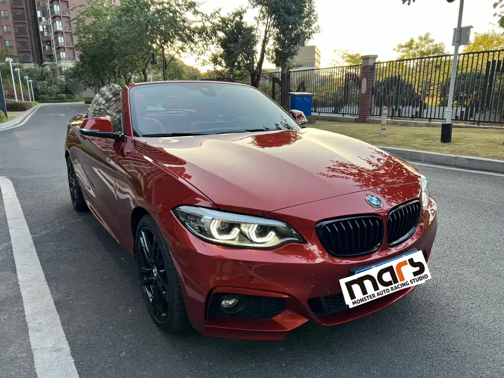 BMW 2 SERIES
