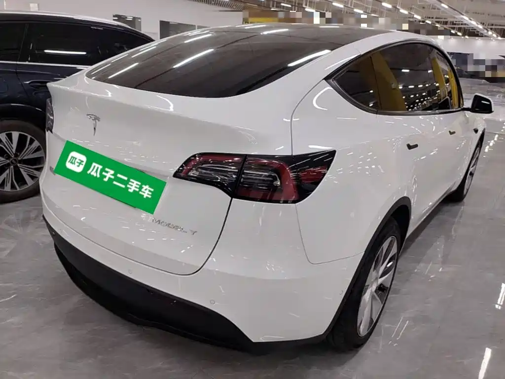 Tesla Model Y — миниатюра 7