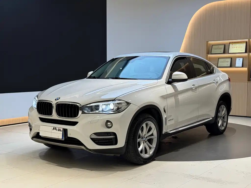 BMW X6 2019