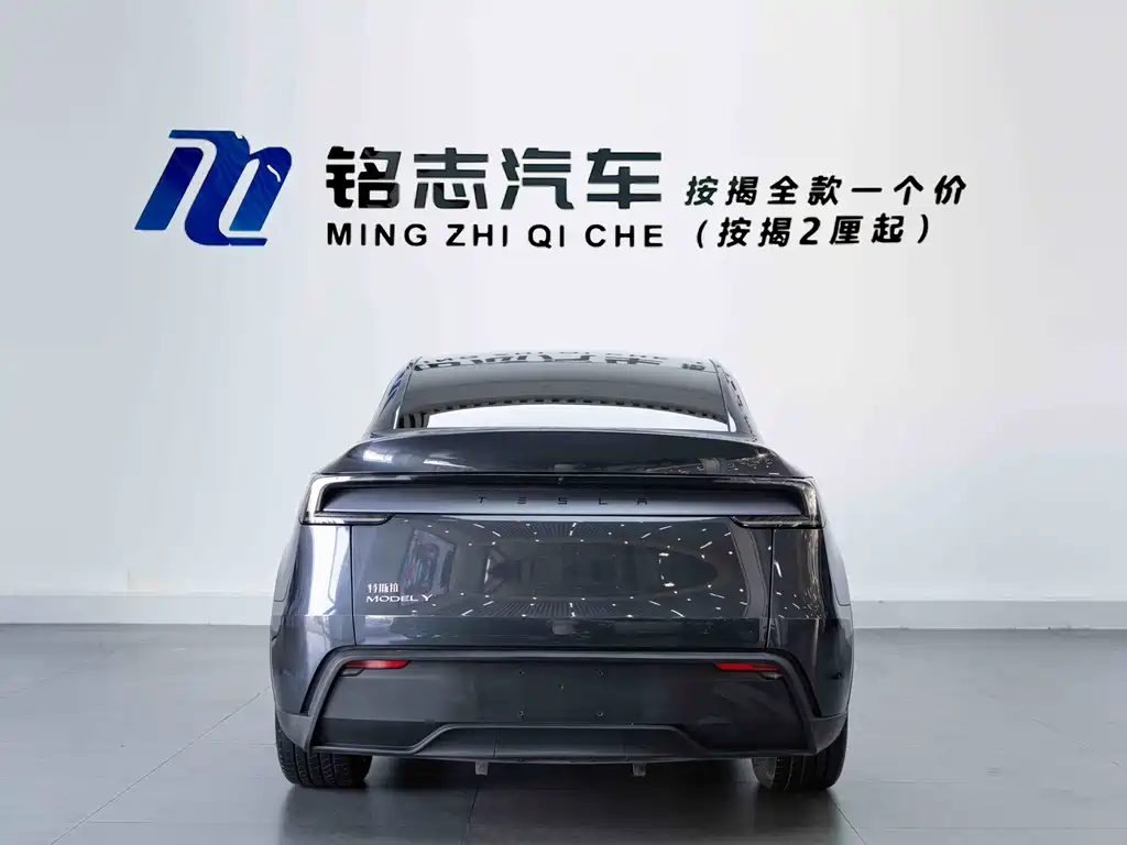 Tesla Model Y — миниатюра 7