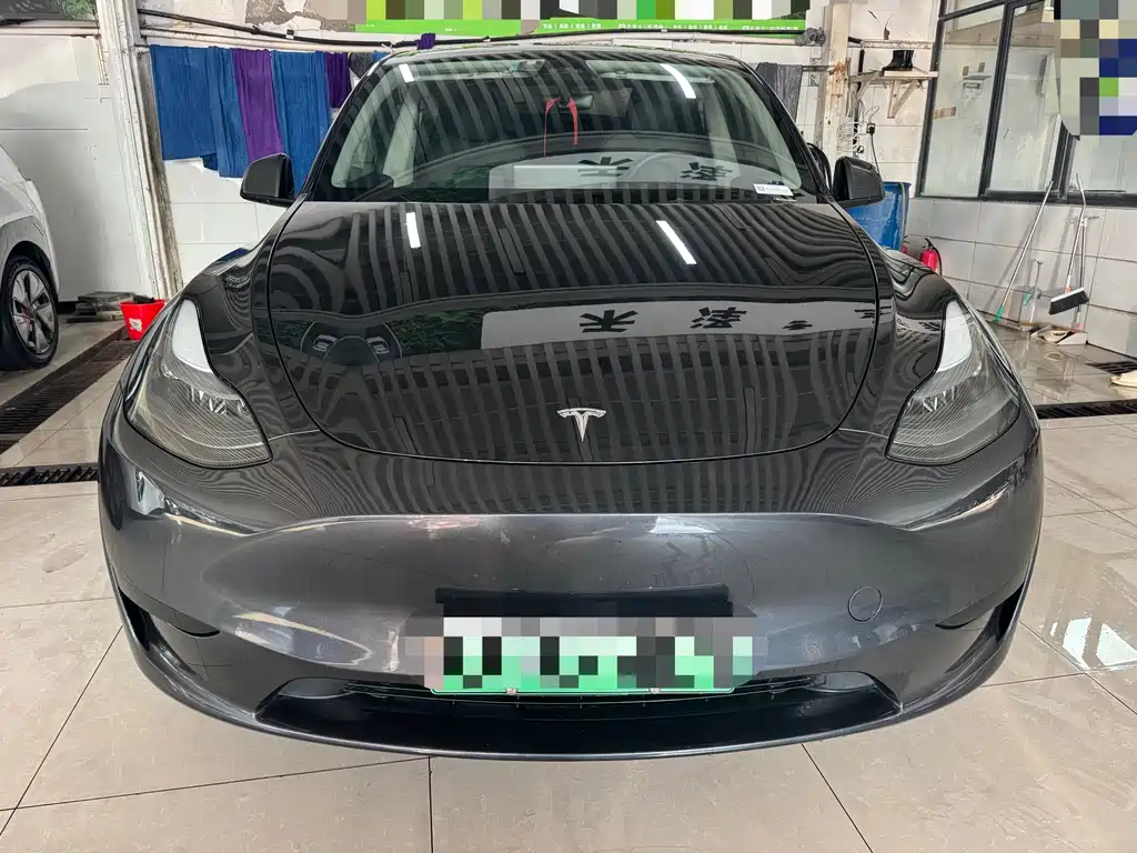 Tesla Model Y — миниатюра 2