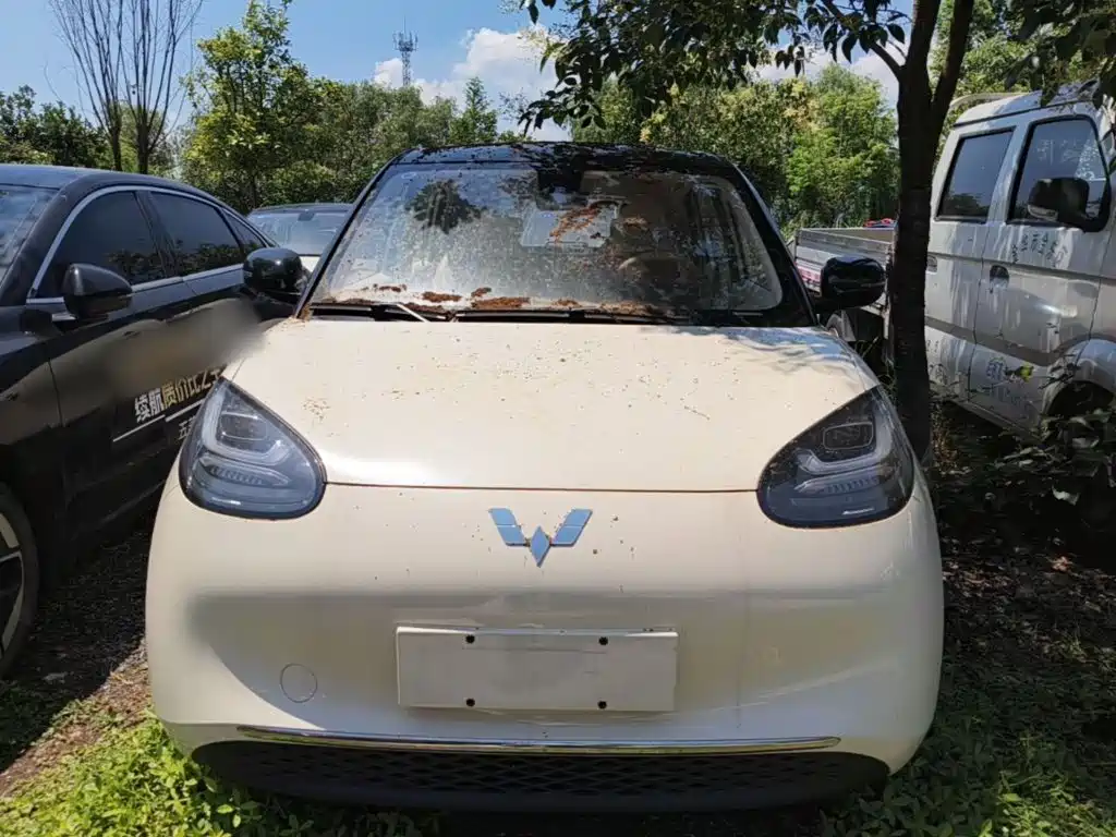 Wuling Binguo 2025 333km