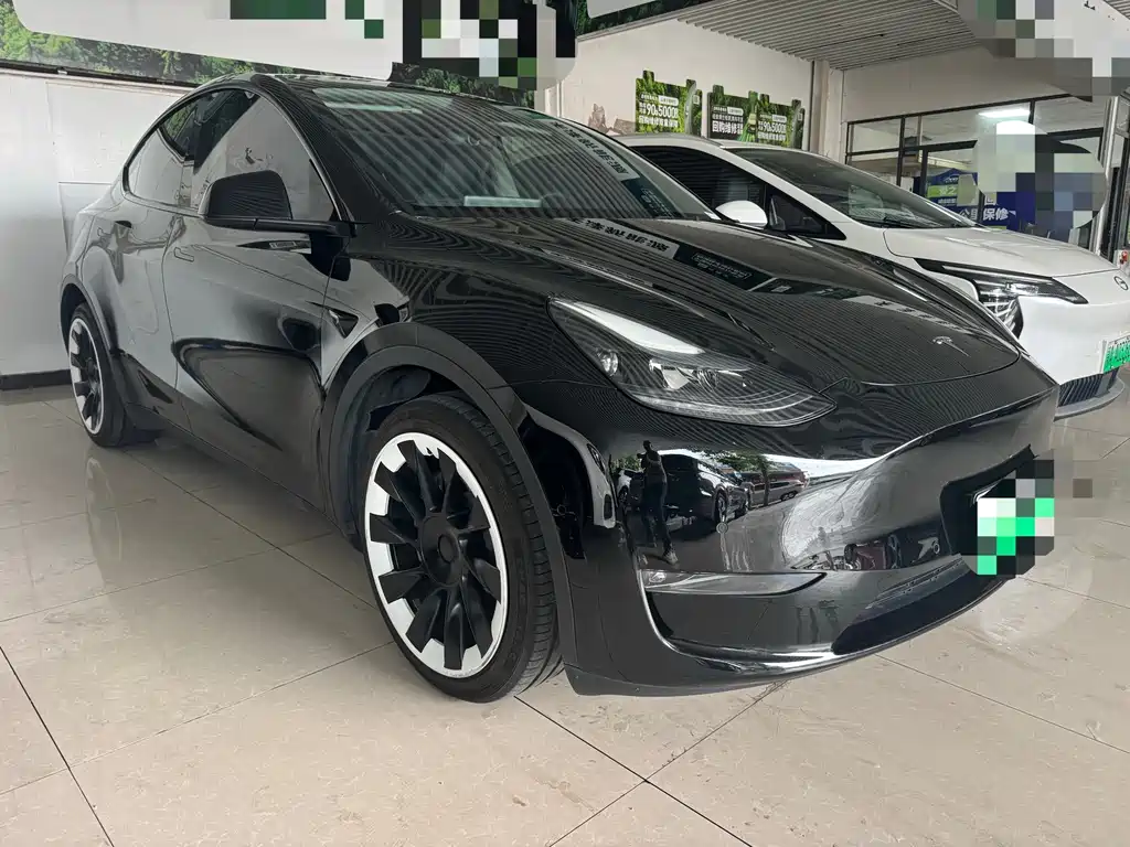 Tesla Model Y — миниатюра 3