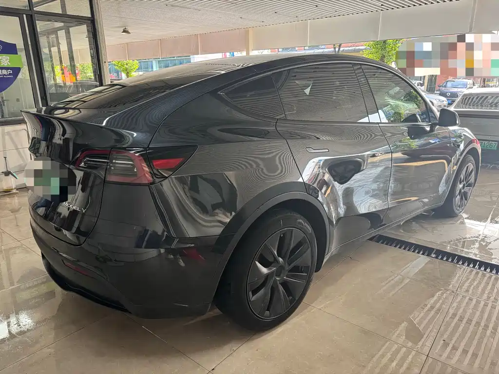 Tesla Model Y — миниатюра 10