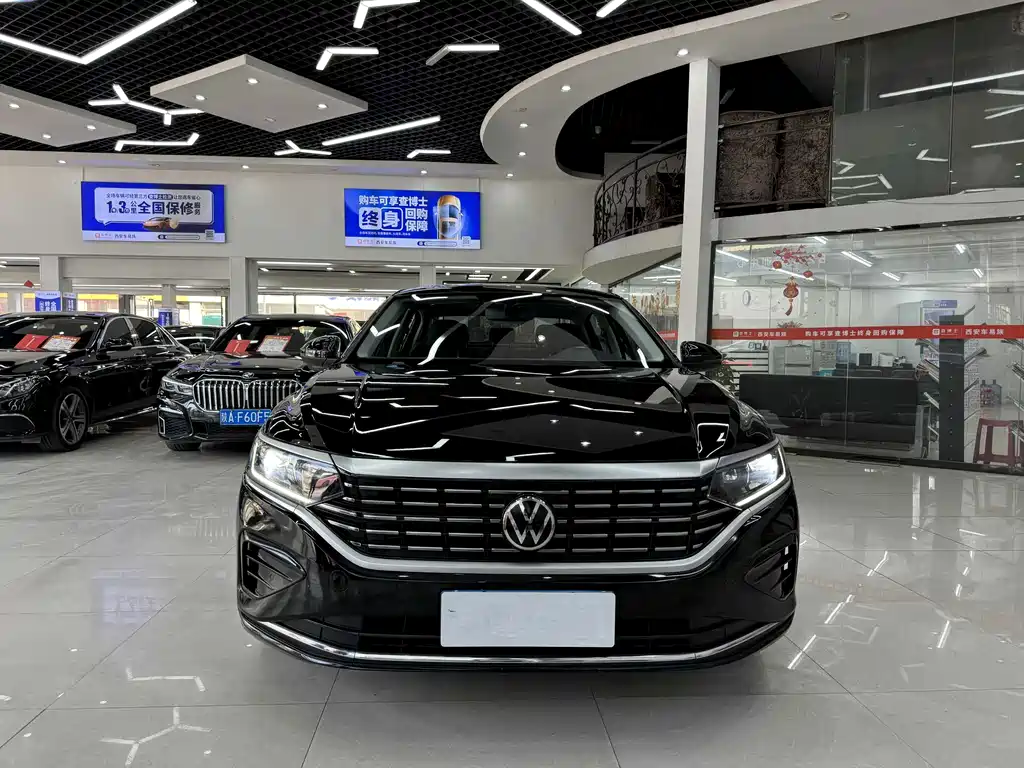 Volkswagen Passat — миниатюра 2