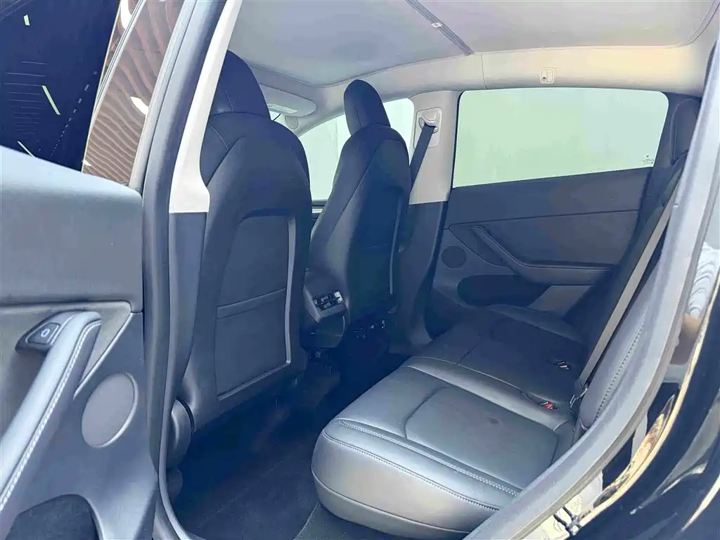 Tesla Model Y — миниатюра 6
