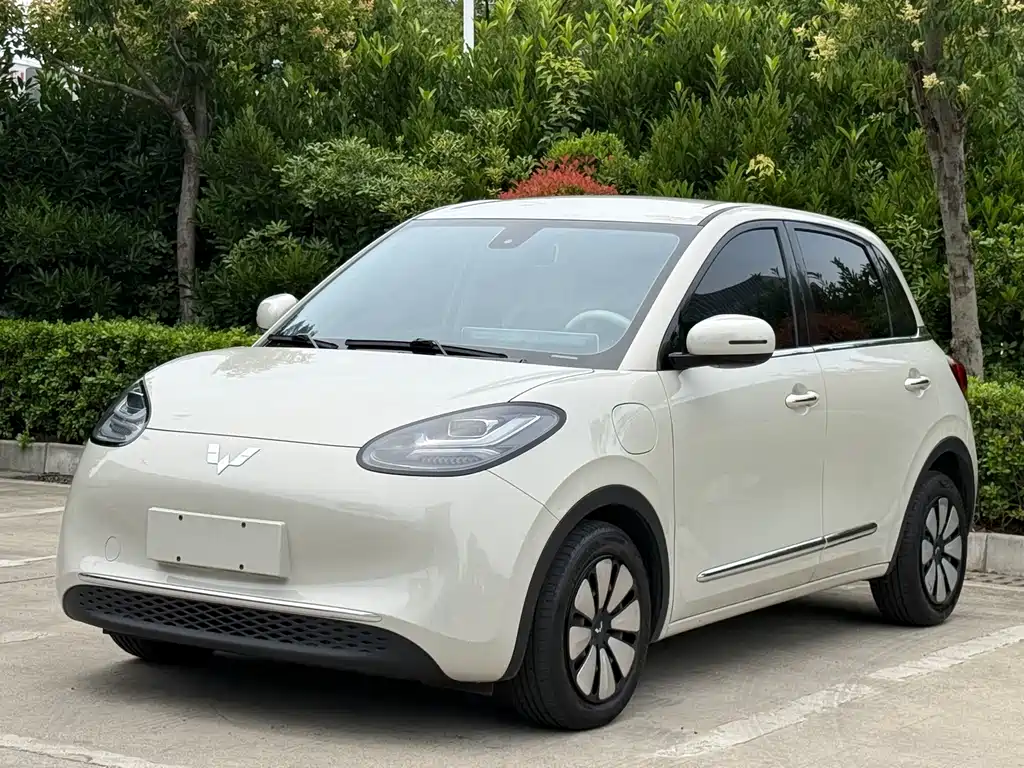Wuling Binguo 2024 333km Delight
