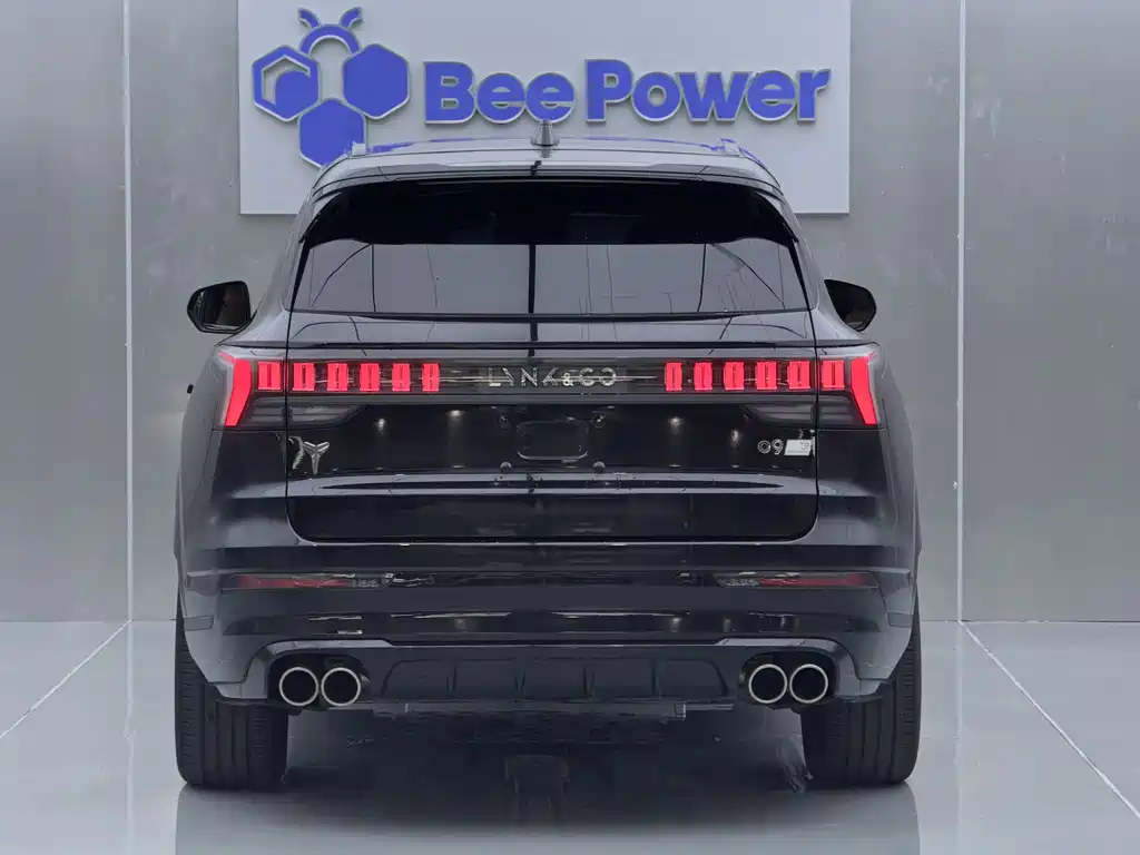 Lynk & Co 09 EM-P 2021 2.0T PHEV Halo мест