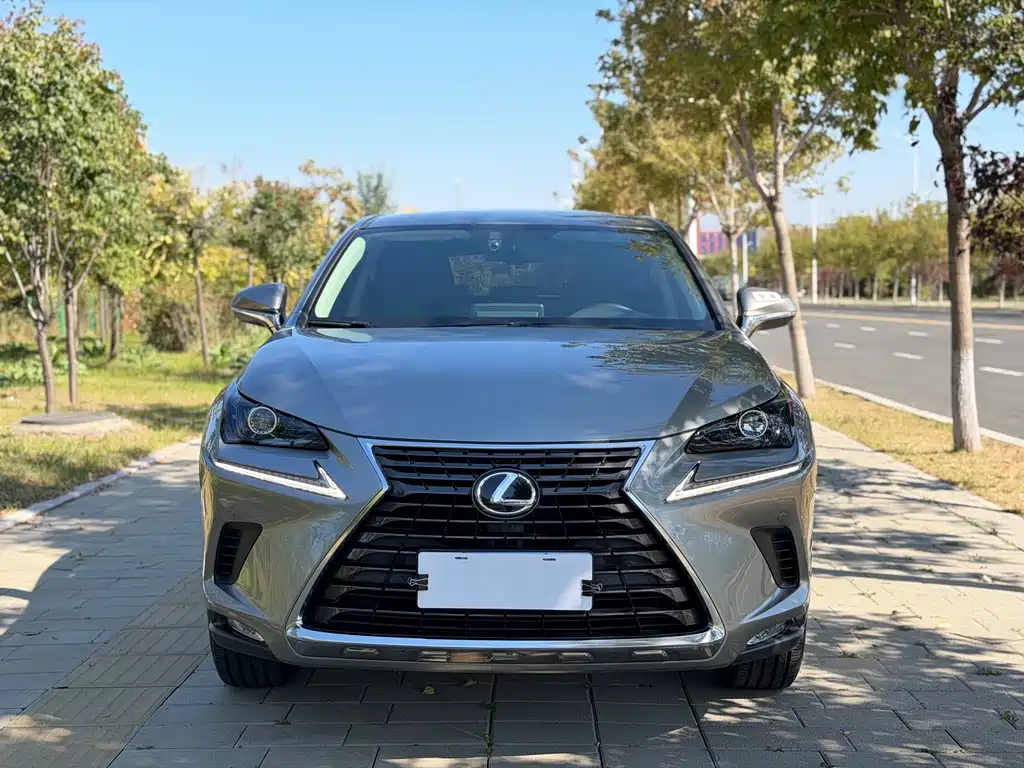 Lexus NX — миниатюра 2