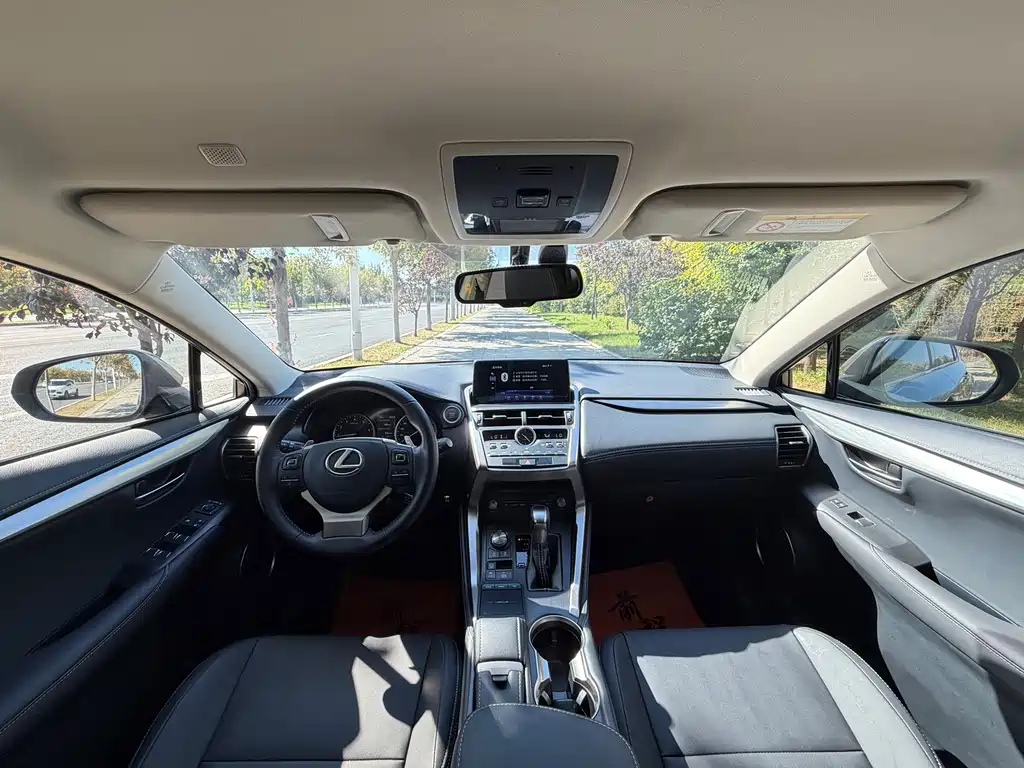 Lexus NX — миниатюра 10