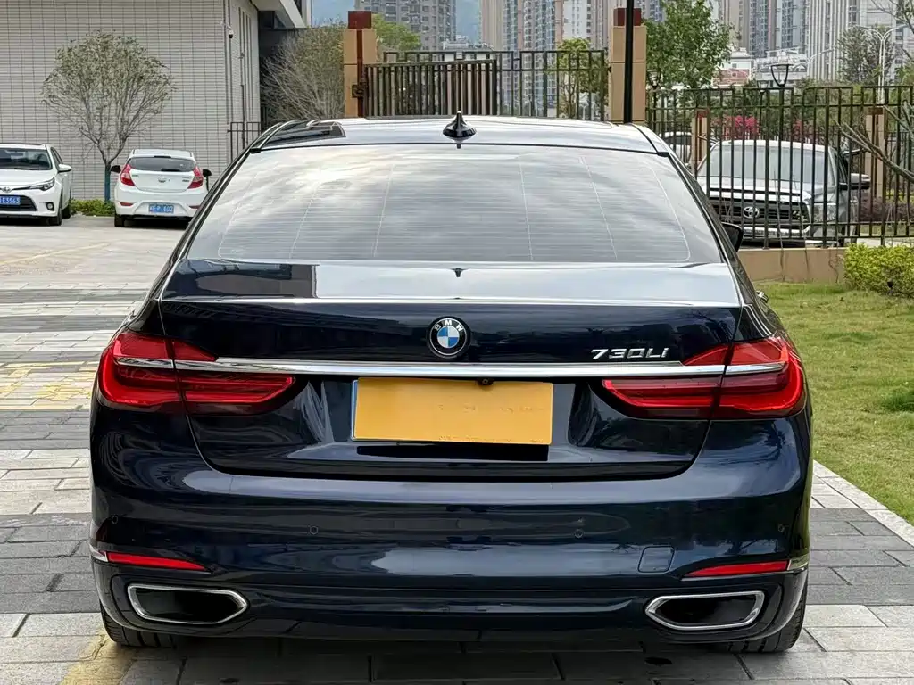 BMW 7 Series 730Li Leading Type, фото 5