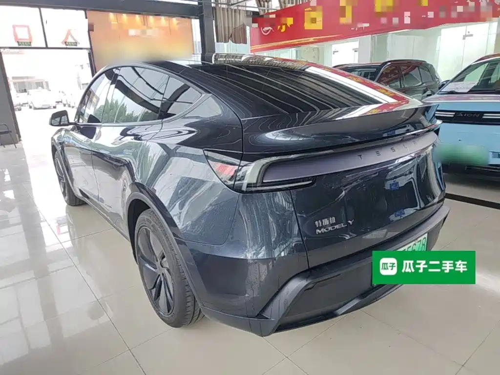 Tesla Model Y — миниатюра 5