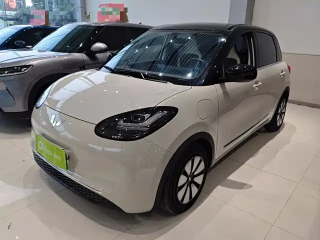 WULING AUTOMOBILE WULING BINGGUO 2024