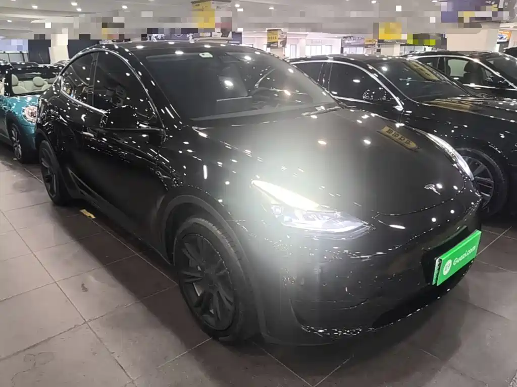 Tesla Model Y — миниатюра 4